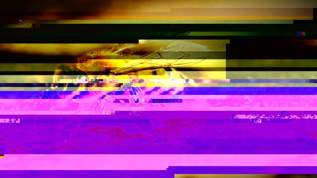 Как сделать фото glitch