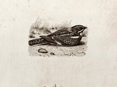 package image
