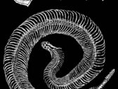 Embers Snake Patch