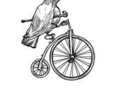 package image