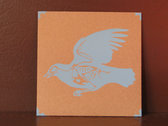 package image