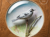 package image