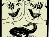 package image