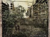 CD album