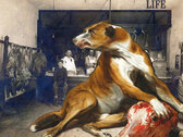 package image
