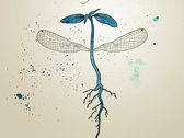 package image