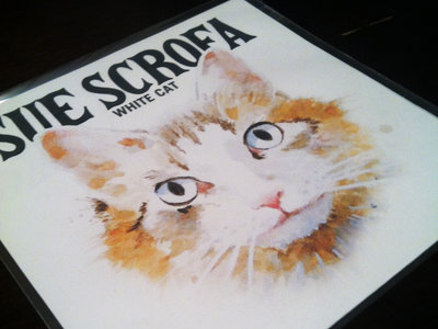 White Cat LP