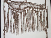 Mel Kadel ((SOUNDER)) Print