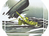 package image