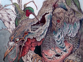 package image