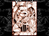 Veil Of Thorns - Birthed CD