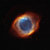 Richard van der Blom thumbnail