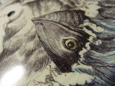 package image