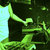 Heidi Adkins thumbnail