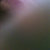 retter thumbnail