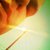 Rodney Blackney thumbnail