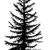 TAMARACKmusic thumbnail