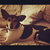 Carter Delloro thumbnail