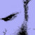 Todge thumbnail