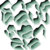 Lorenzo Baronti thumbnail