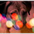 Sam Birdwood Bice thumbnail