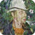 forage thumbnail