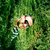 Jamie Russell thumbnail