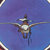 Bitplane thumbnail