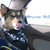 Nikki Jeske thumbnail