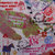 Yuitza Fernandez thumbnail