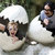 Michael J. Epstein and Sophia Cacciola thumbnail