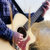 Fritz Capell thumbnail