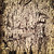 Kristjan Garcia-Lamerton thumbnail