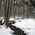Daniel Burgoon thumbnail