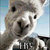 metal-baer thumbnail