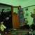 joey duck thumbnail
