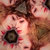 Stacey Emma thumbnail
