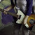 Stephanie Fogle thumbnail