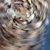 deterbold thumbnail