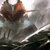 rg thumbnail