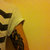 Chris Rickett thumbnail
