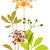 Amanda Taplin Milberry thumbnail