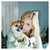 jen thumbnail