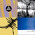 Thom Hore thumbnail