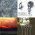 Ross Stewart-Smith thumbnail
