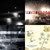 Jean-Rene Sylvestre thumbnail