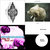 Jason McCLure thumbnail