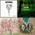 christophe mallet thumbnail