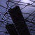 nidi thumbnail