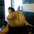dedanie thumbnail
